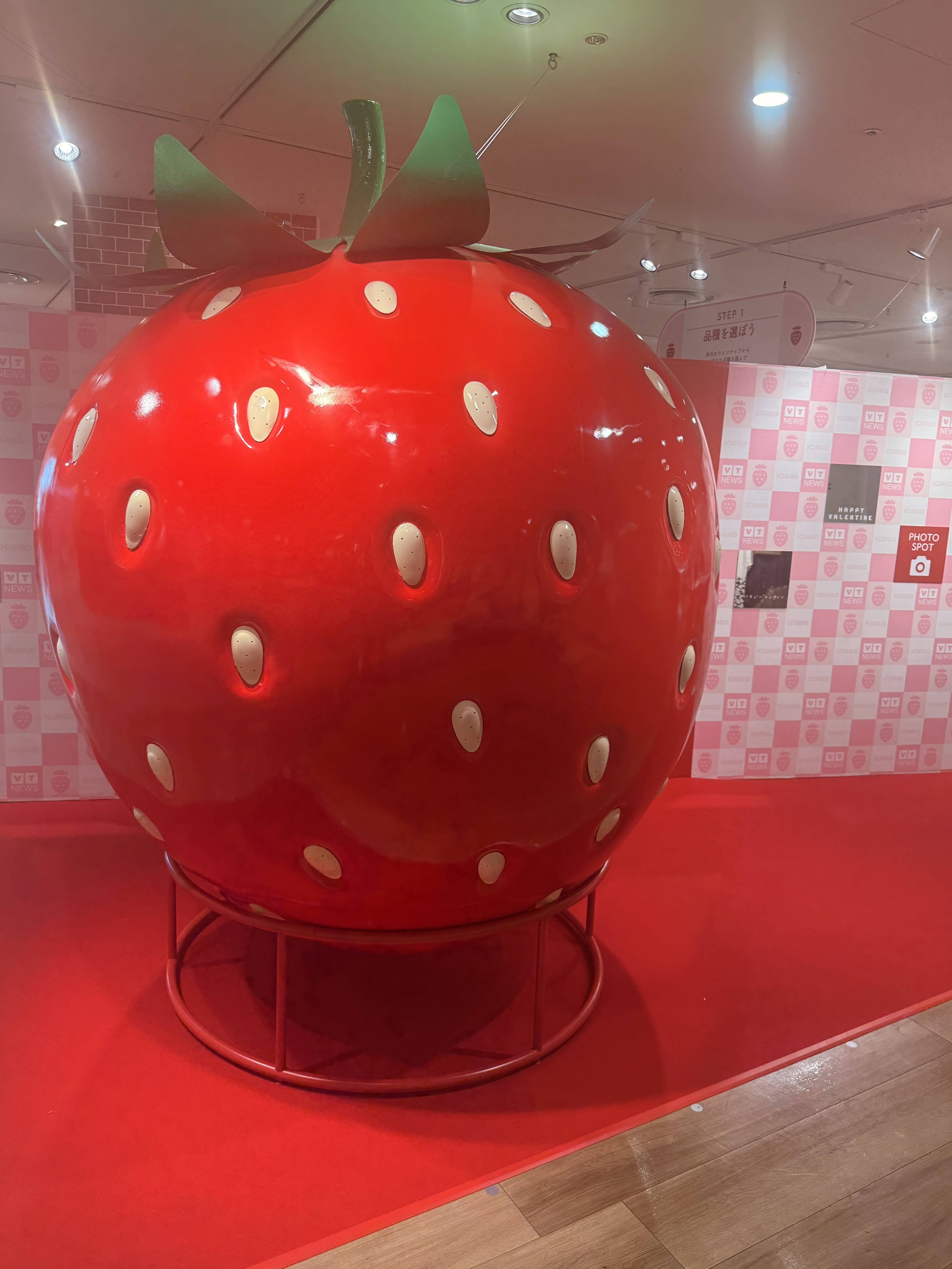 大阪・阪神百貨店 梅田本店『イチゴ🍓目線』